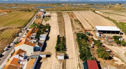 Terrain à São Francisco de 6 200 m²