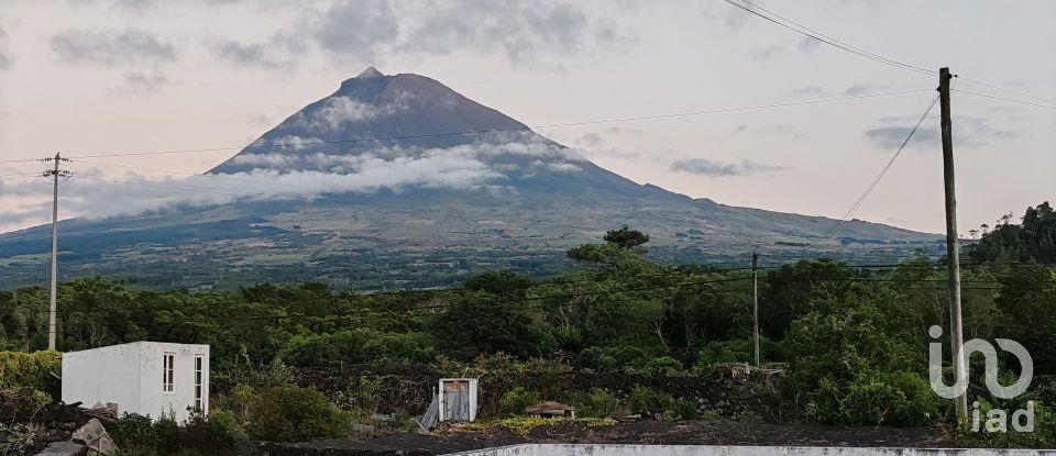 House T3 in Madalena of 293 m²