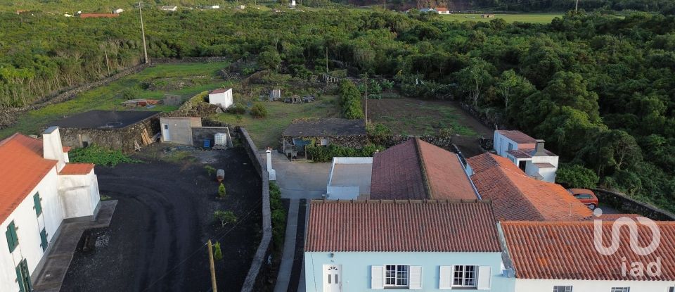 House T3 in Madalena of 293 m²