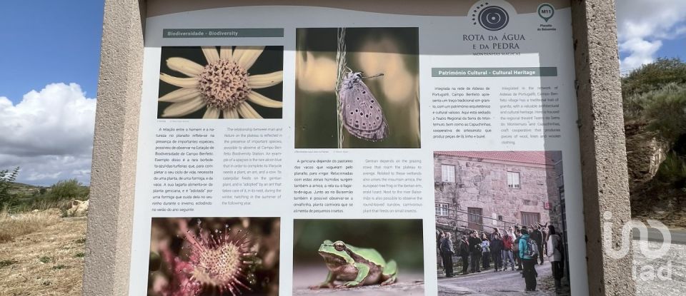 Country home T2 in Gosende of 50 m²