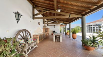 Maison T5 à Canas de Senhorim de 437 m²