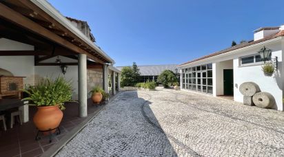 Maison T5 à Canas de Senhorim de 437 m²