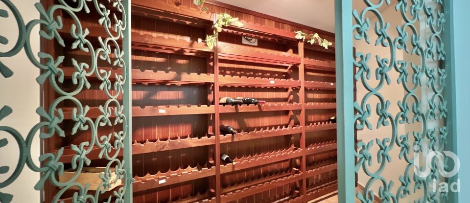 Maison T5 à Canas de Senhorim de 437 m²