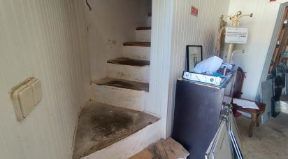 Traditional house T2 in Borba (Matriz) of 56 m²