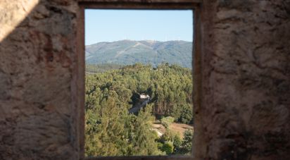 Maison T0 à Lamas de 65 m²