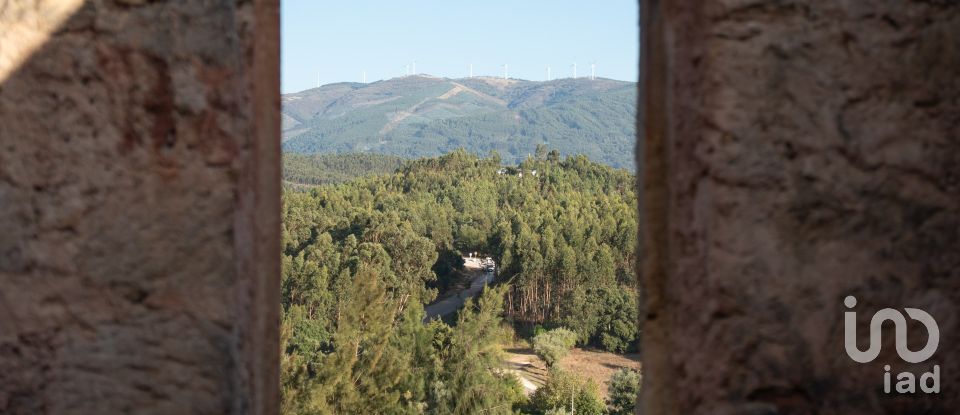 House T0 in Lamas of 65 m²