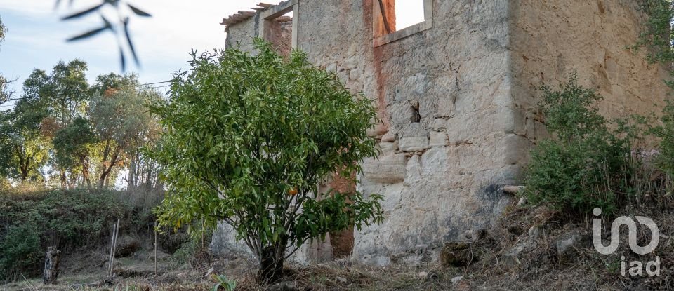 House T0 in Lamas of 65 m²