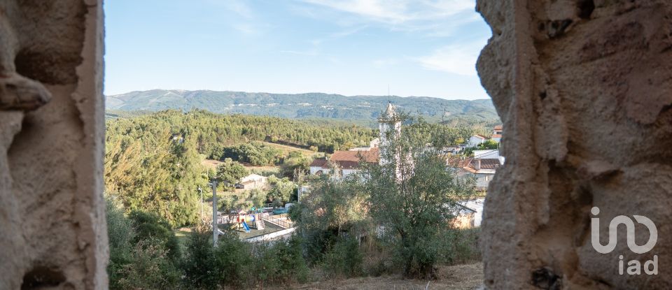 House T0 in Lamas of 65 m²