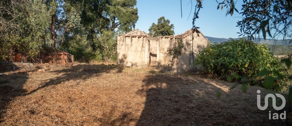 House T0 in Lamas of 65 m²