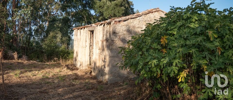 House T0 in Lamas of 65 m²