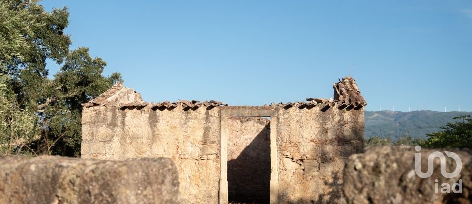 House T0 in Lamas of 65 m²