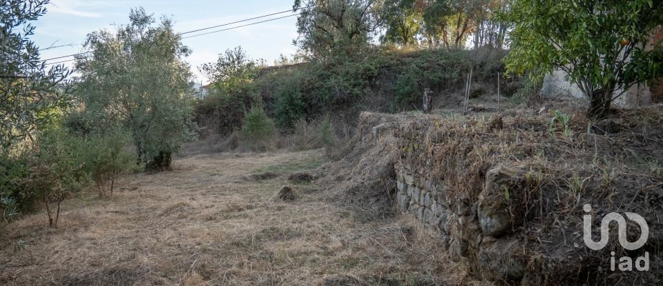 House T0 in Lamas of 65 m²