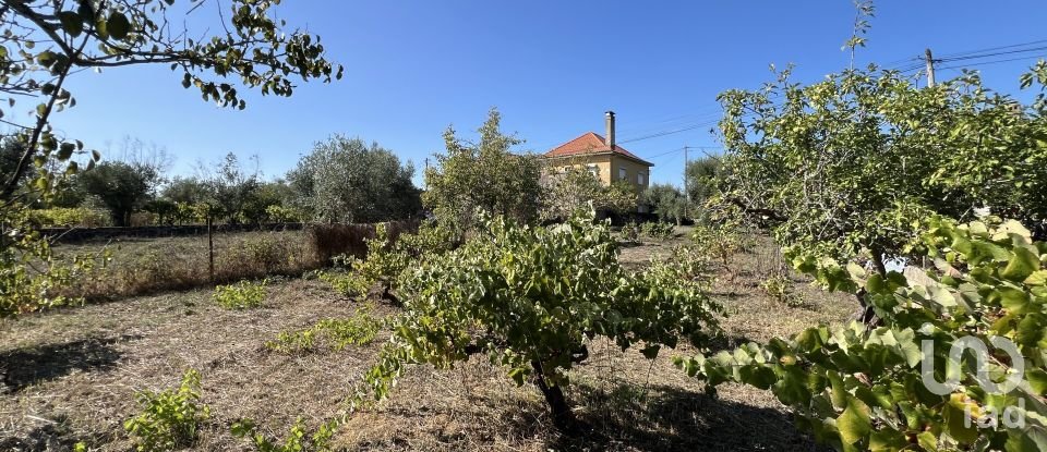 Maison T3 à Pussos são pedro de 108 m²