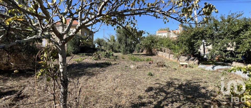 Maison T3 à Pussos são pedro de 108 m²