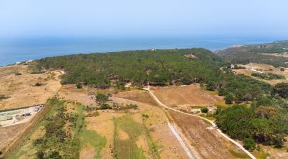 Terrain à bâtir à Rogil de 267 660 m²