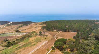 Terrain à bâtir à Rogil de 267 660 m²