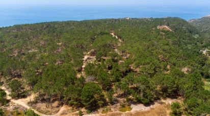 Terrain à bâtir à Rogil de 267 660 m²