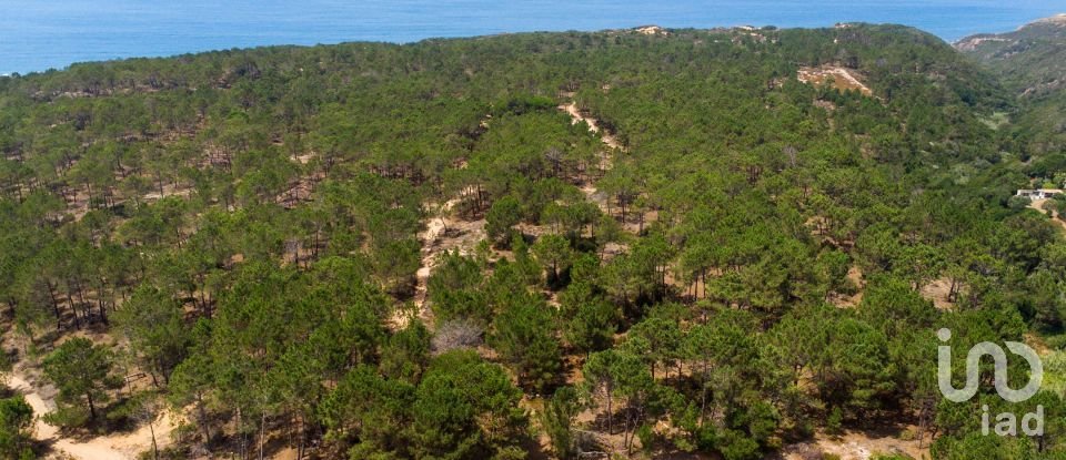 Terreno urbano em Rogil de 267 660 m²