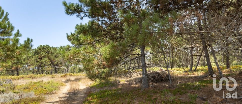 Terreno urbano em Rogil de 267 660 m²