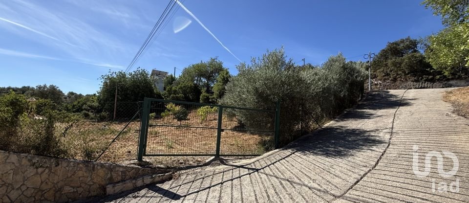 Maison traditionnelle T2 à Querença, Tôr e Benafim de 157 m²