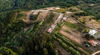 Maison T5 à Usseira de 304 m²