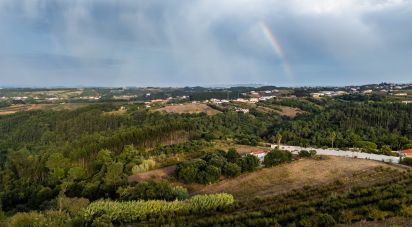 Maison T5 à Usseira de 304 m²