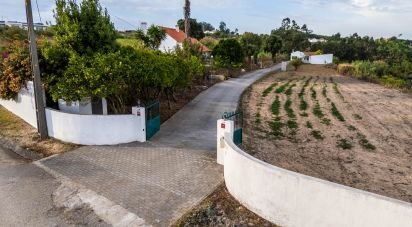 Maison T5 à Usseira de 304 m²