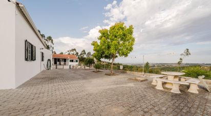 Maison T5 à Usseira de 304 m²