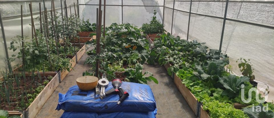 Moradia T3 em Chão de Couce de 86 m²