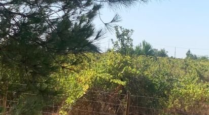 Terrain à Poceirão e Marateca de 32 500 m²