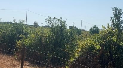 Terrain à Poceirão e Marateca de 32 500 m²