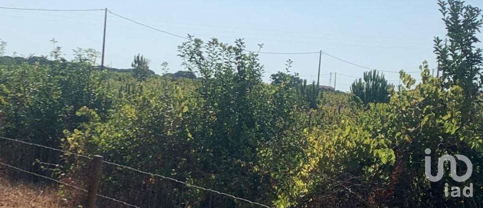 Terreno em Poceirão e Marateca de 32 500 m²