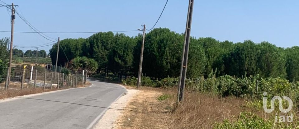 Terreno em Poceirão e Marateca de 32 500 m²