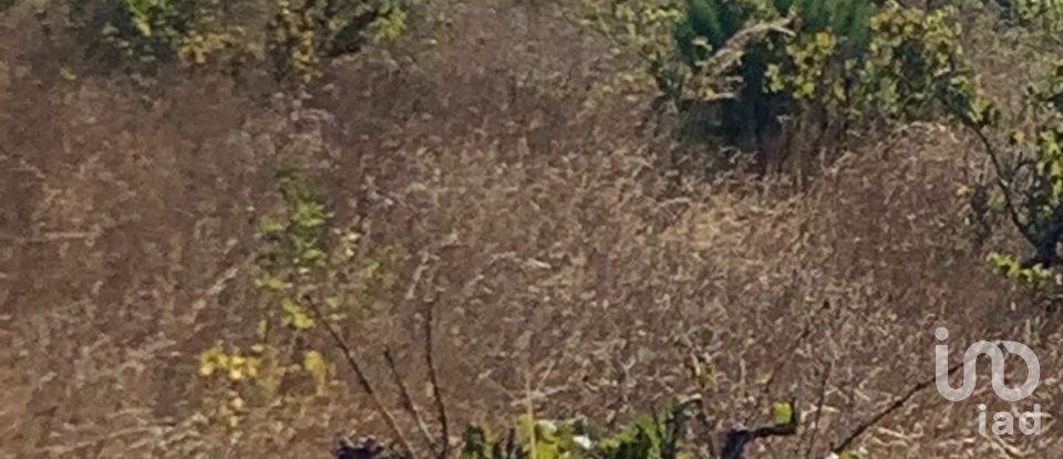 Terreno em Poceirão e Marateca de 32 500 m²