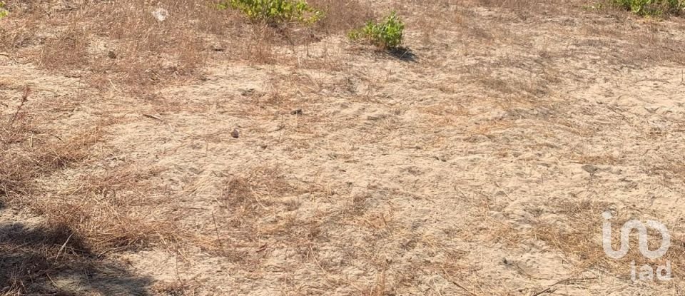 Terreno em Poceirão e Marateca de 32 500 m²