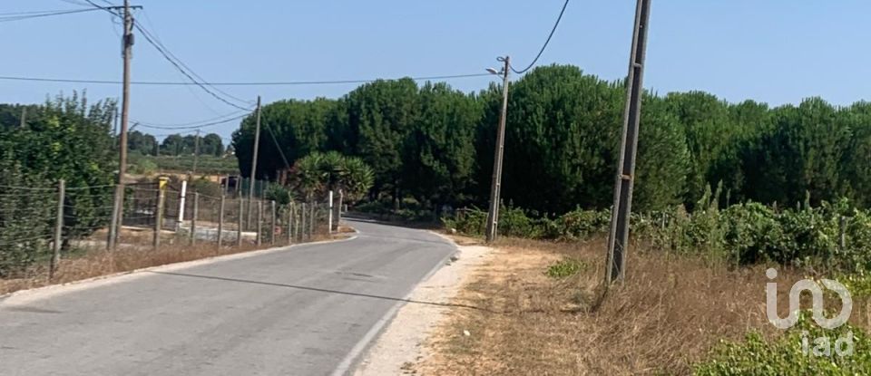 Terreno em Poceirão e Marateca de 32 500 m²