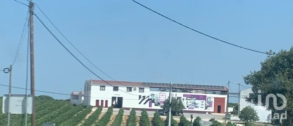 Terreno em Poceirão e Marateca de 32 500 m²