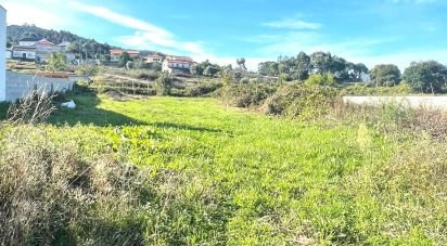 Land in Subportela, Deocriste e Portela Susã of 1,237 m²