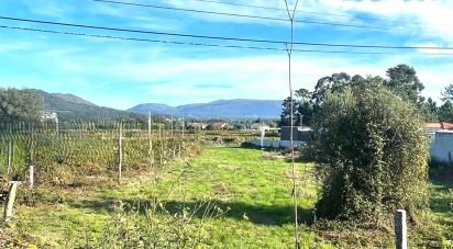 Land in Subportela, Deocriste e Portela Susã of 1,237 m²