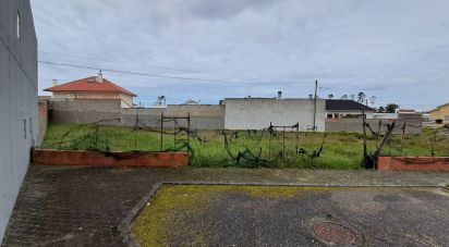Terrain à bâtir à Vieira de Leiria de 535 m²