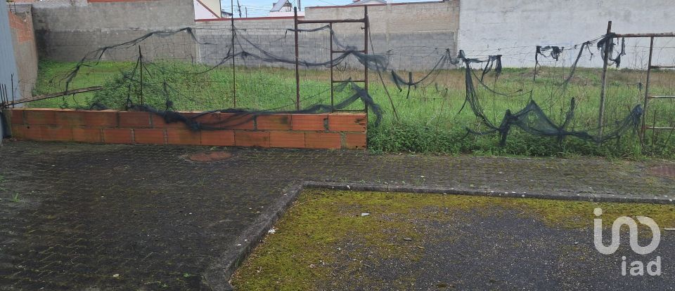 Terrain à bâtir à Vieira de Leiria de 535 m²