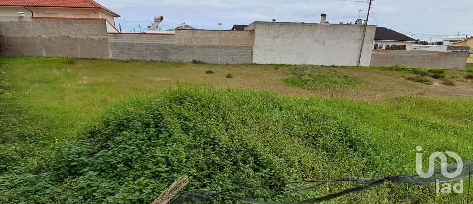 Terrain à bâtir à Vieira de Leiria de 535 m²