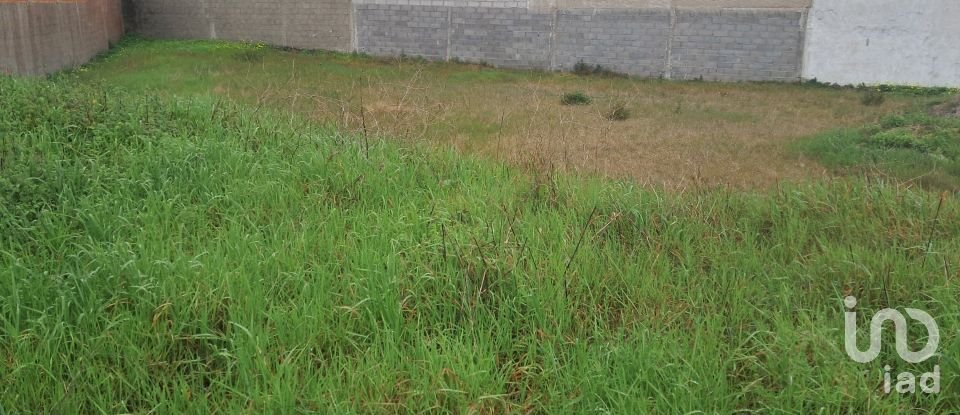 Terrain à bâtir à Vieira de Leiria de 535 m²