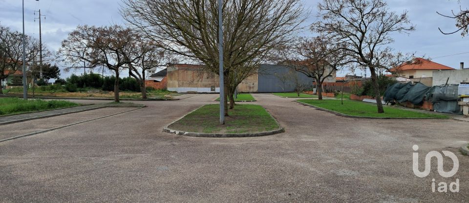 Terrain à bâtir à Vieira de Leiria de 535 m²
