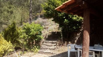 Maison traditionnelle T2 à Verdelhos de 70 m²