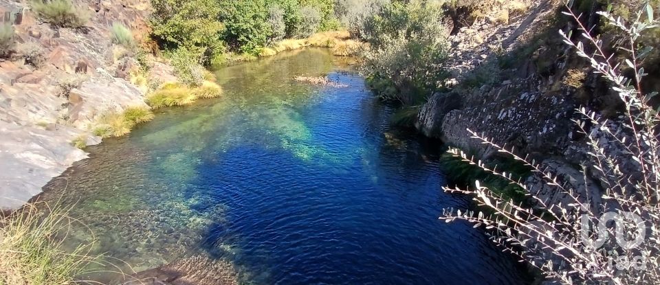 Maison traditionnelle T2 à Verdelhos de 70 m²