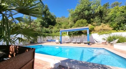 Traditional house T6 in Conceição e Estoi of 296 m²