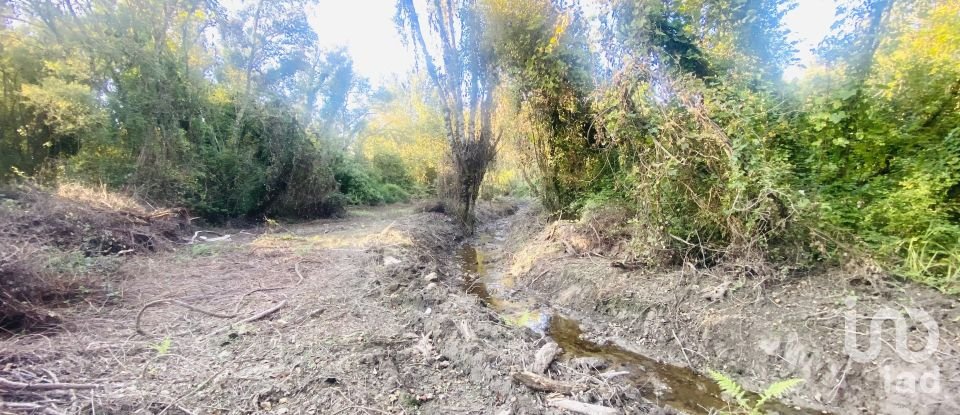 Farm land in Loivo of 2,850 m²