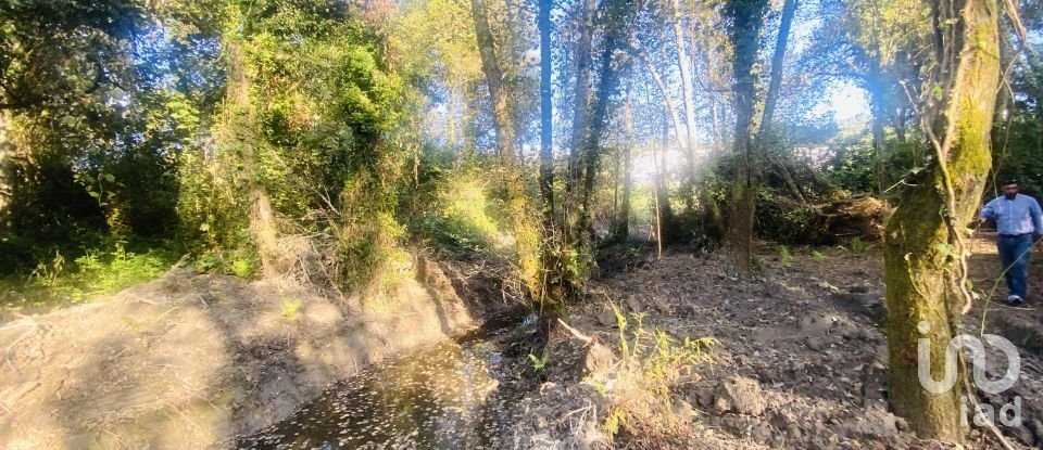 Farm land in Loivo of 2,850 m²