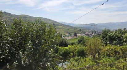 House T4 in Peso da Régua e Godim of 180 m²